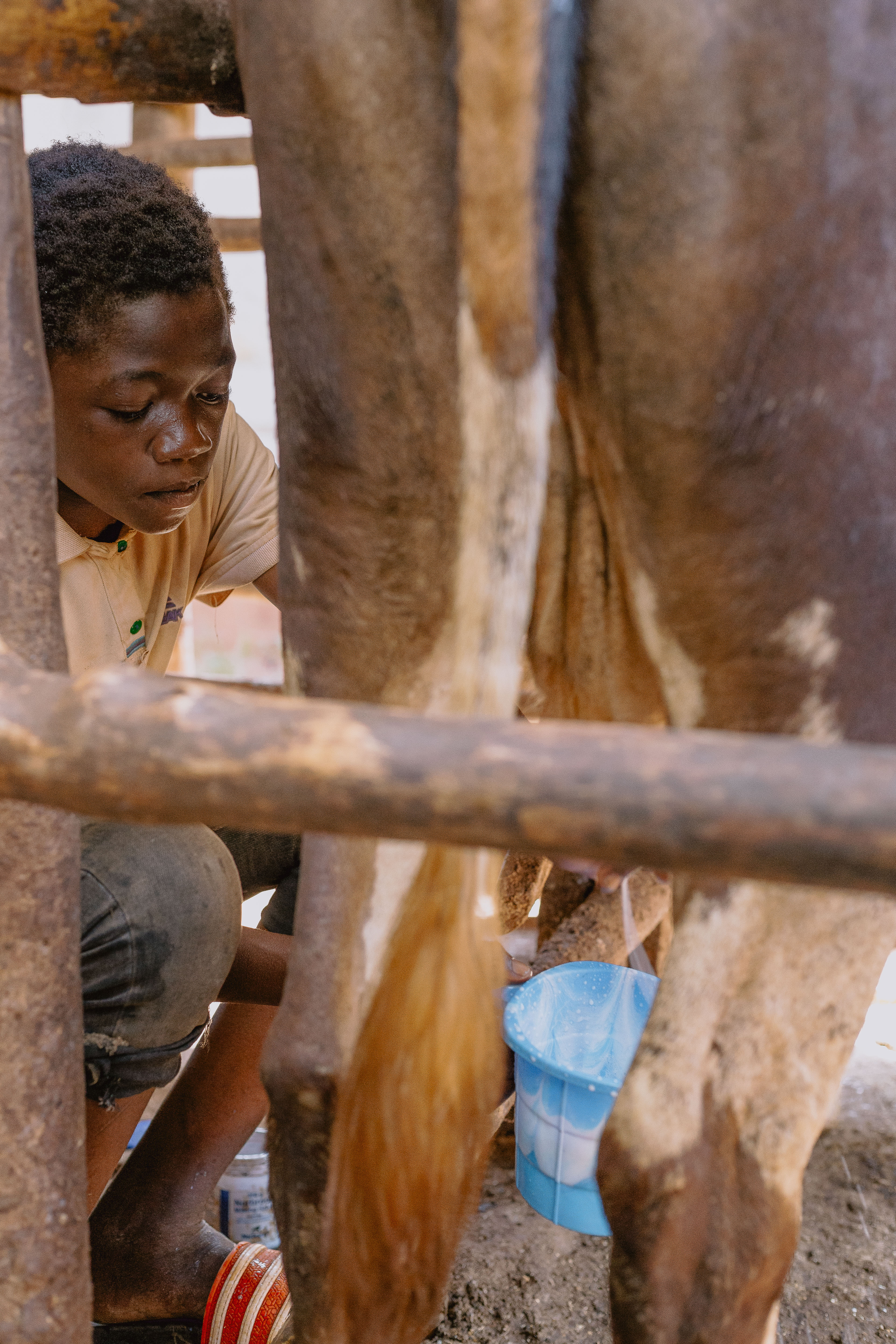 Annual Dairy Farmers Conference 2024