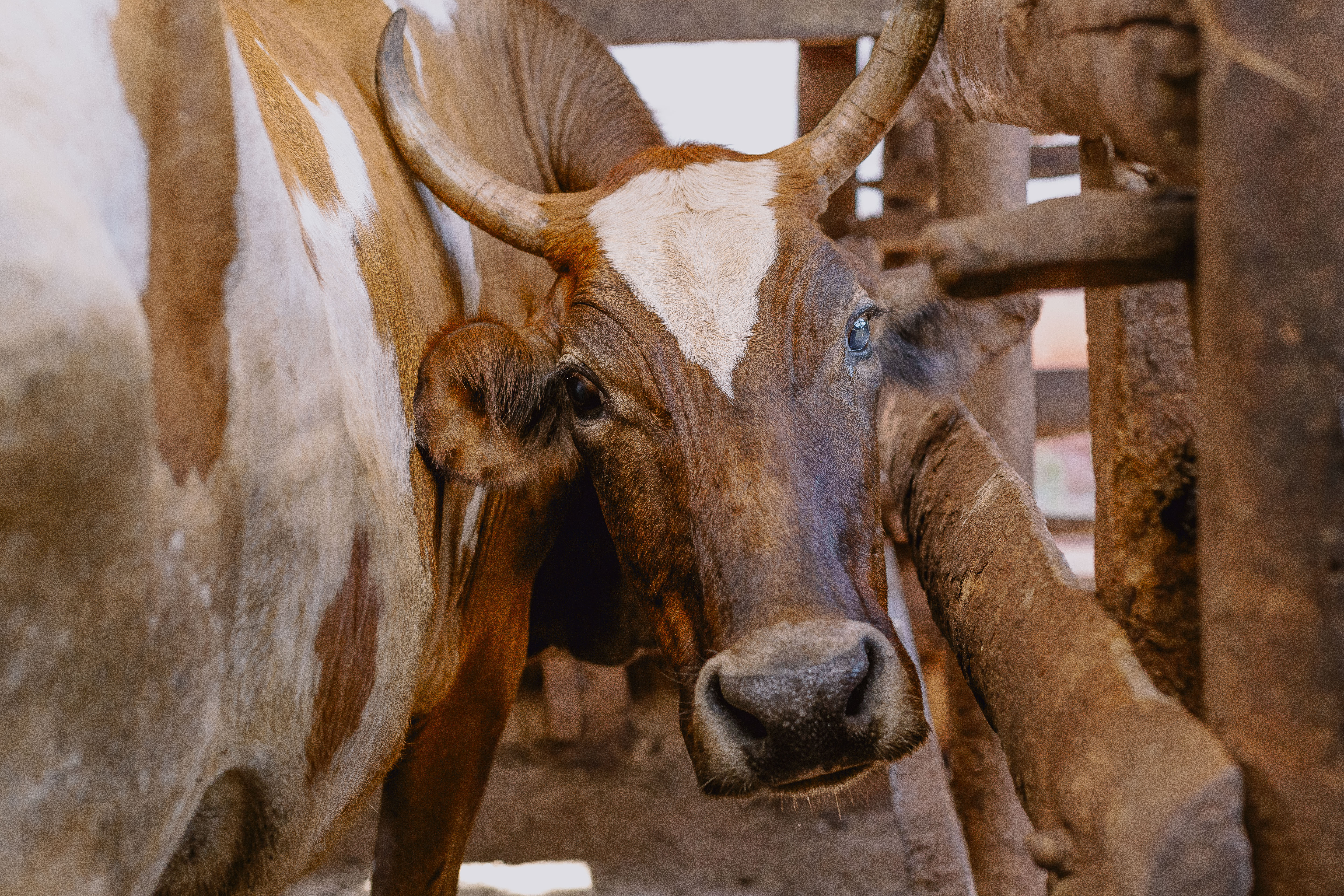 Technology Innovation Fair